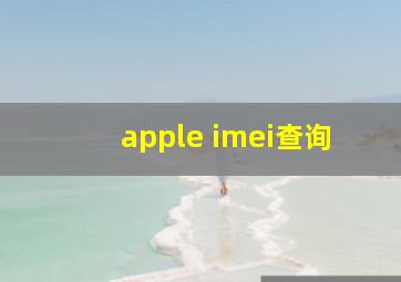 apple imei查询